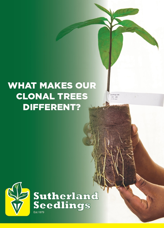 Sutherland_page-0001