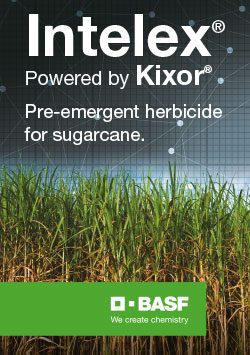 A28871-BASF-Intelex-banner-ad-Tropical-Bytes