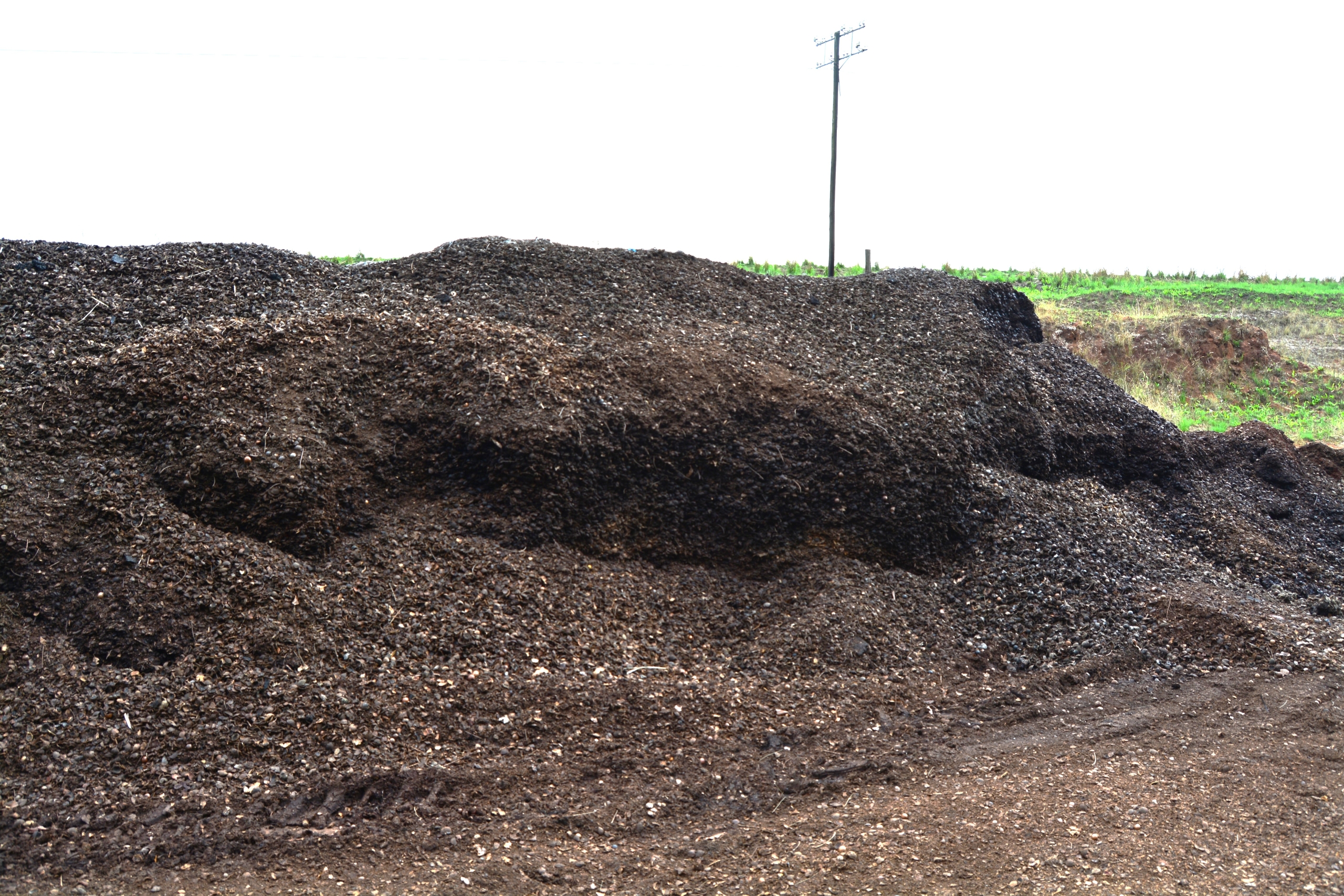 Compost heap